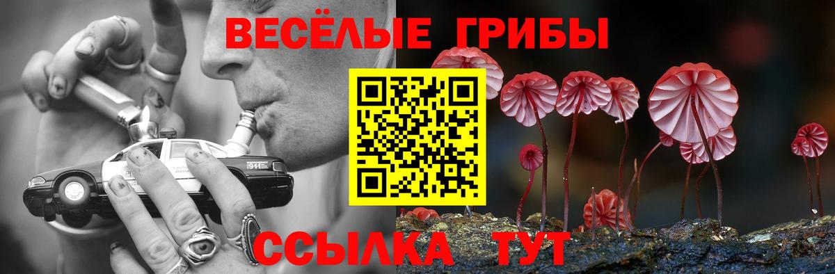 Галлюциногенные грибы мицелий Дивногорск